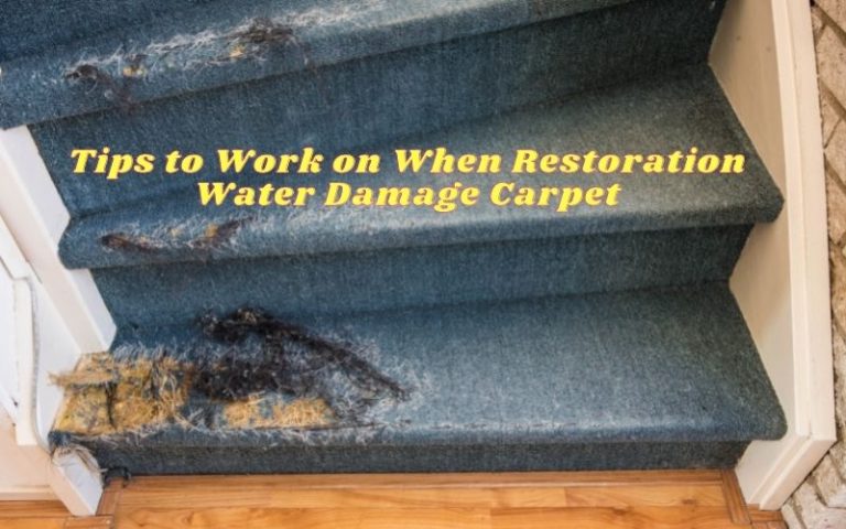 Tips to Work on When Restoration Water Damage Carpet